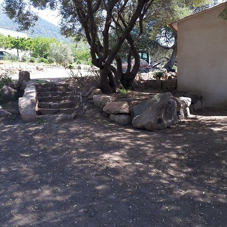Gite Tomasini Sabrina Zirilla Monacia-d'Aullene Exterior foto